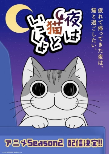 Постер Вечера с кошкой 2 Постер Вечера с кошкой 2